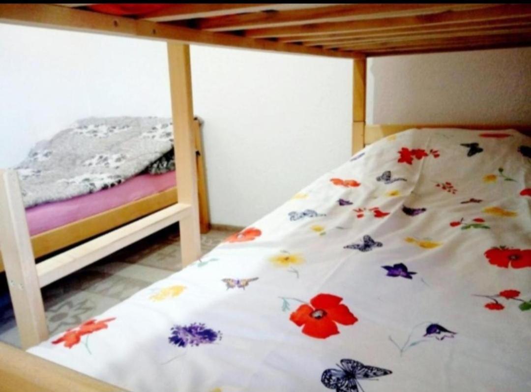 פג'ה Bus Station Hostel מראה חיצוני תמונה